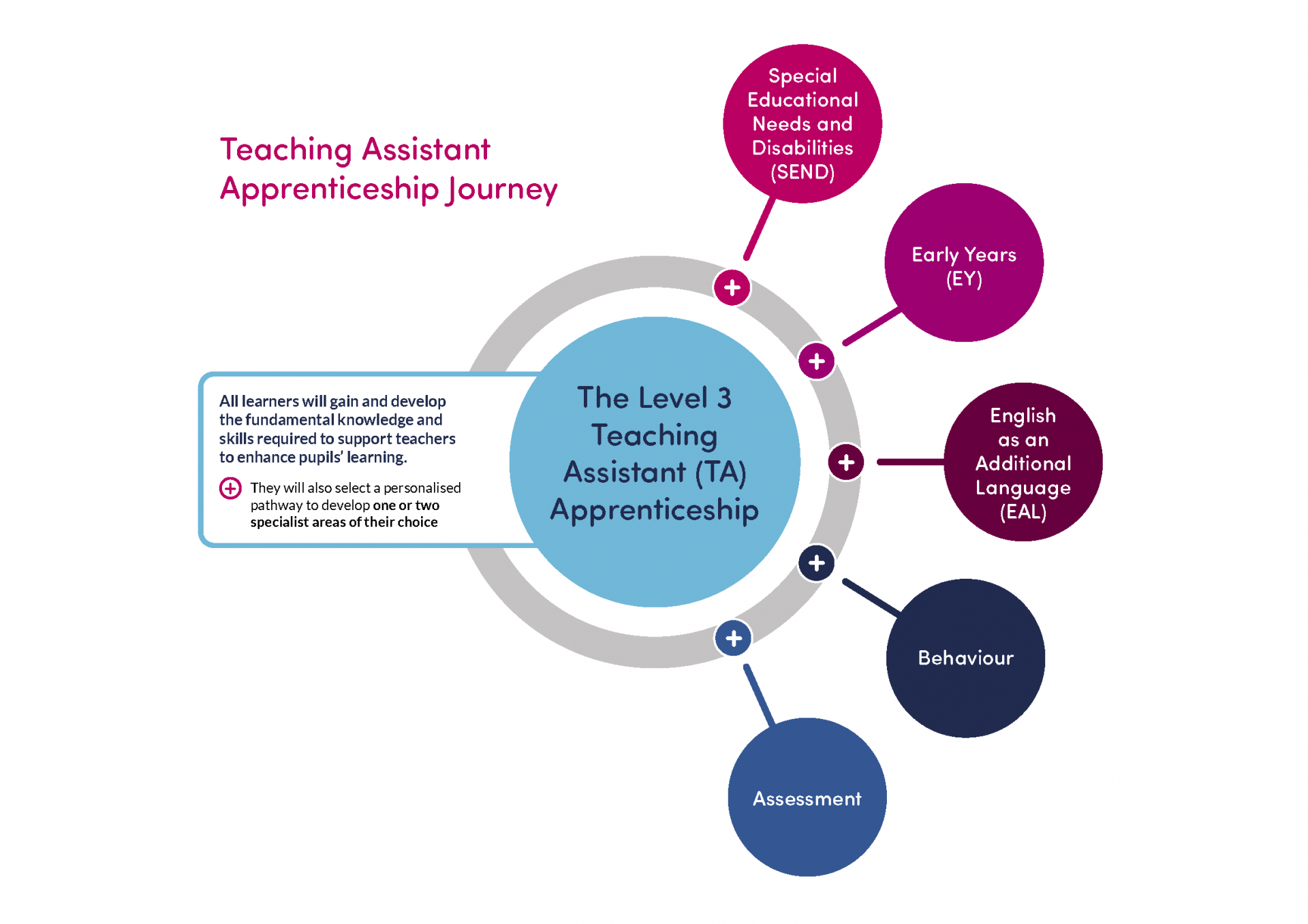 Teaching Assistant Apprenticeship Level 3 Send Best Practice Network 0809